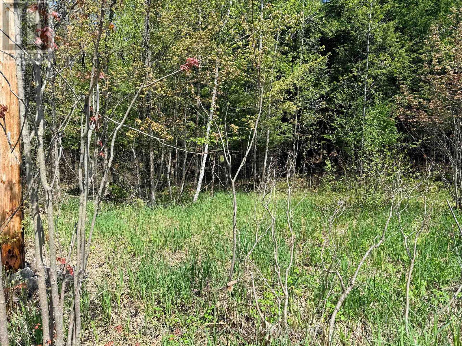 000 Fourwheel Drive, Gravenhurst, Ontario  P1P 1P1 - Photo 2 - X13176584