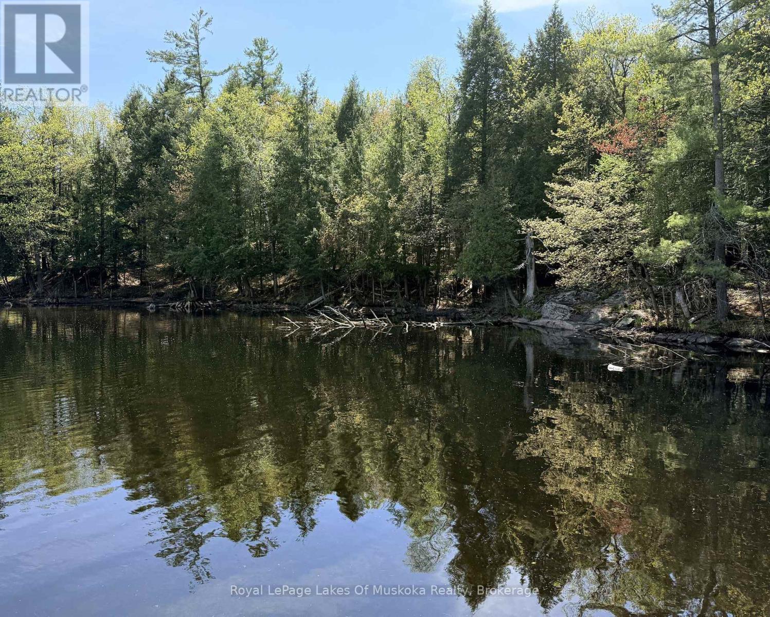 000 Fourwheel Drive, Gravenhurst, Ontario  P1P 1P1 - Photo 4 - X13176584