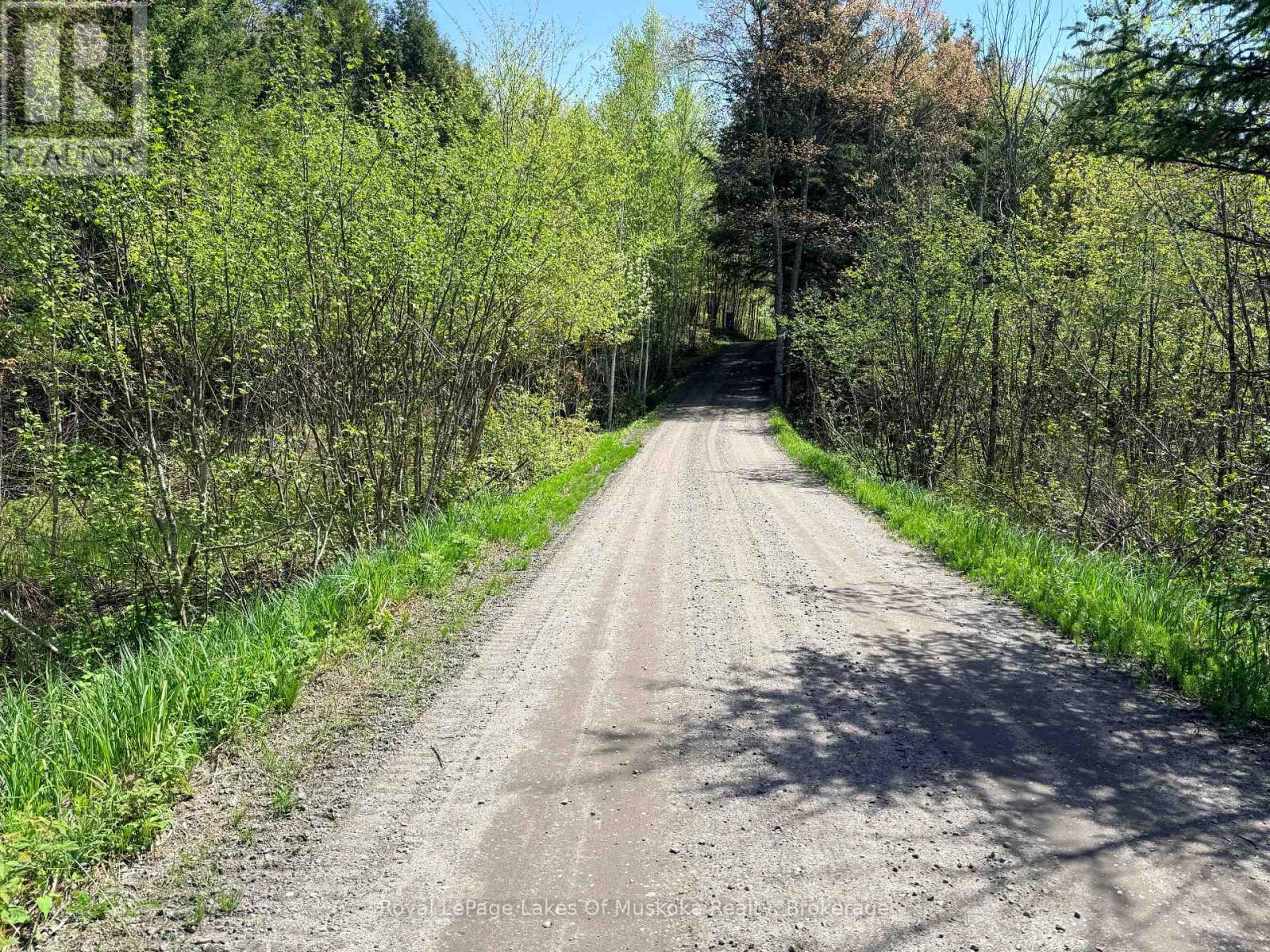 000 Fourwheel Drive, Gravenhurst, Ontario  P1P 1P1 - Photo 5 - X13176584