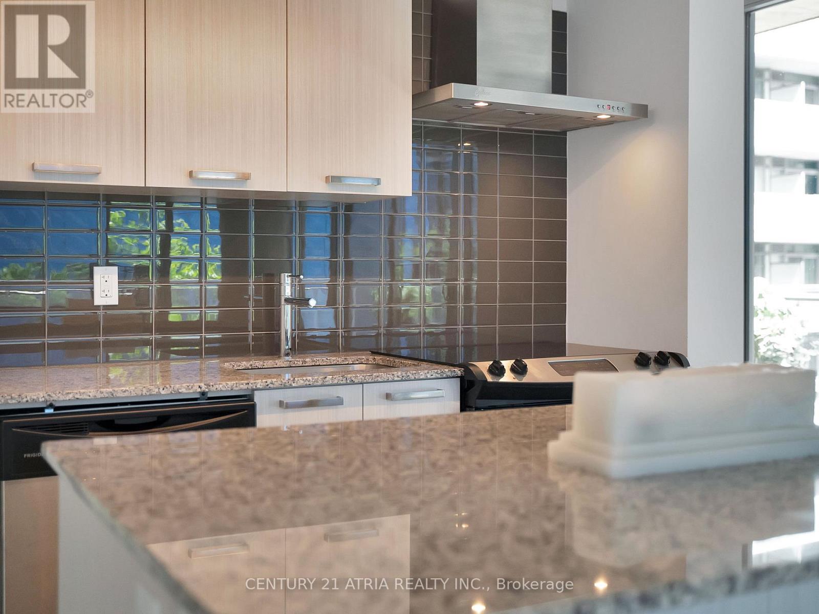 318 - 95 Bathurst Street, Toronto, Ontario  M5V 0M9 - Photo 9 - C13176362