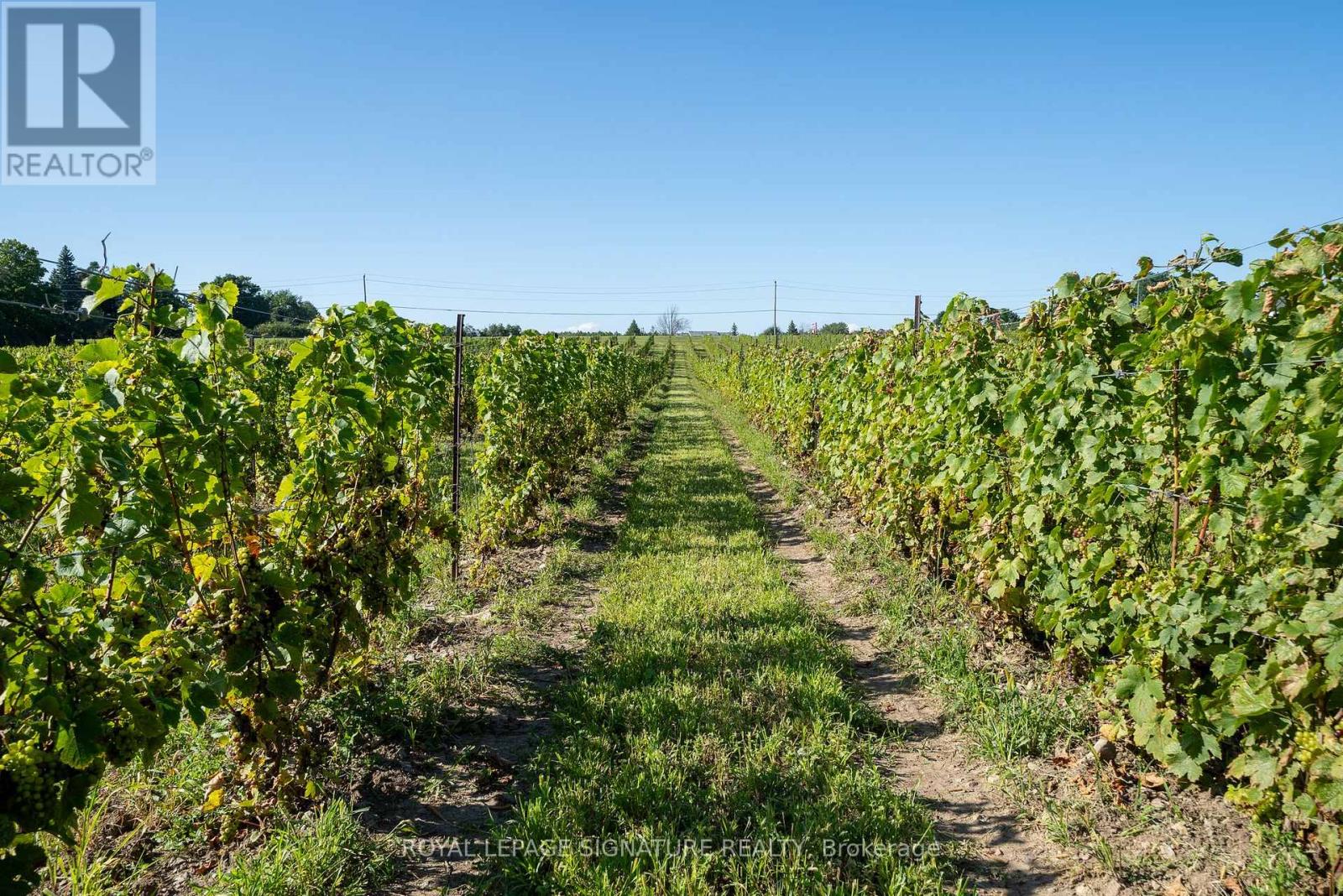 46 Stapleton Road, Prince Edward County, Ontario  K0K 2T0 - Photo 11 - X12731942