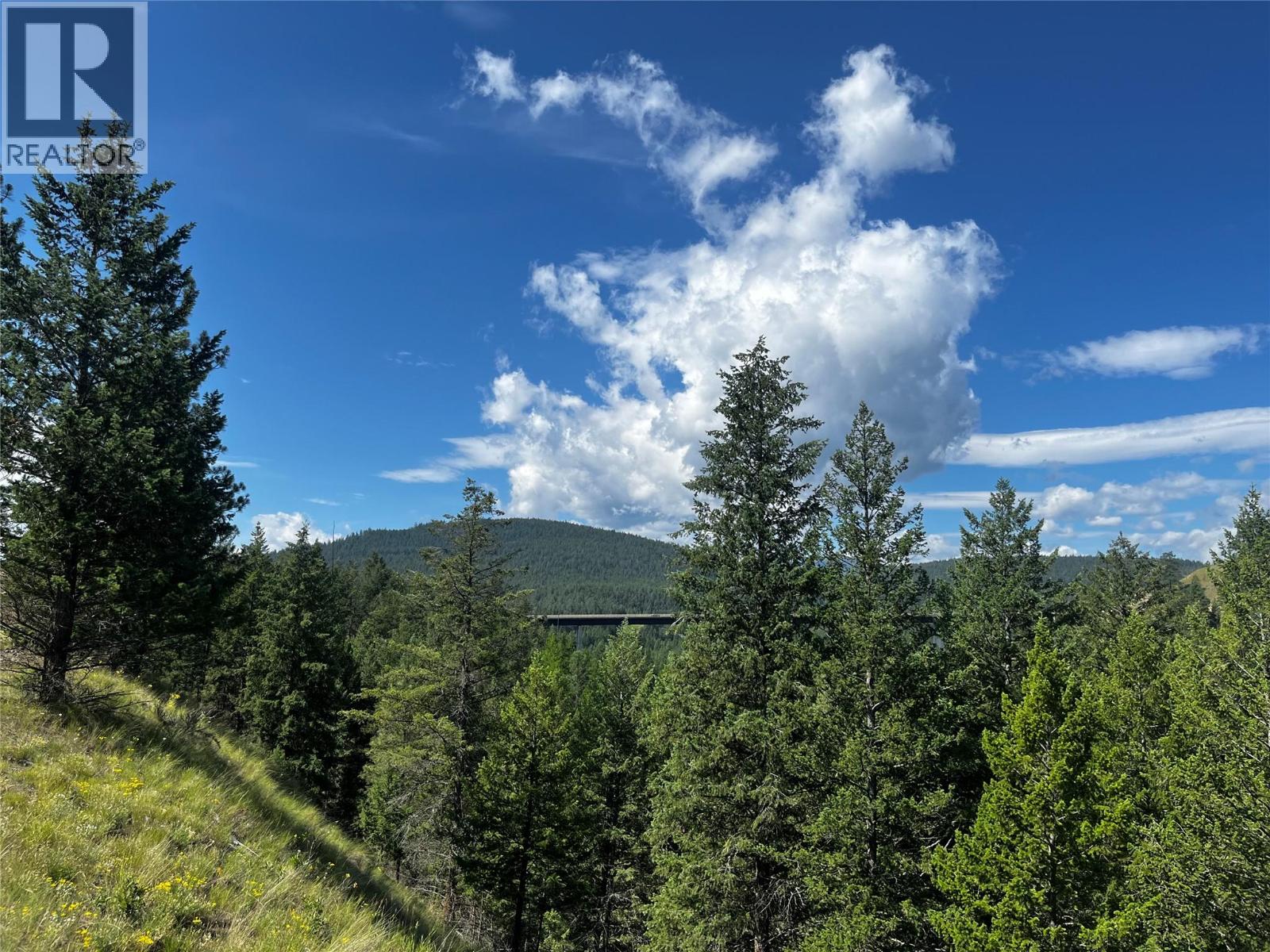 Proposed Lot A-7 6145 Parnaby Road, Cranbrook, British Columbia  V1C 0C2 - Photo 1 - 10379321