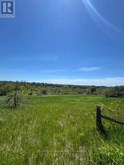 13595 Highway 2, Cramahe, Ontario  K0K 1S0 - Photo 5 - X13176706