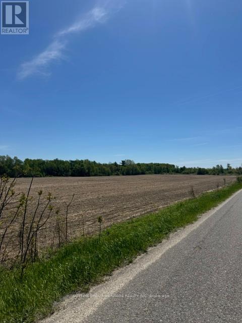 13595 Highway 2, Cramahe, Ontario  K0K 1S0 - Photo 6 - X13176706