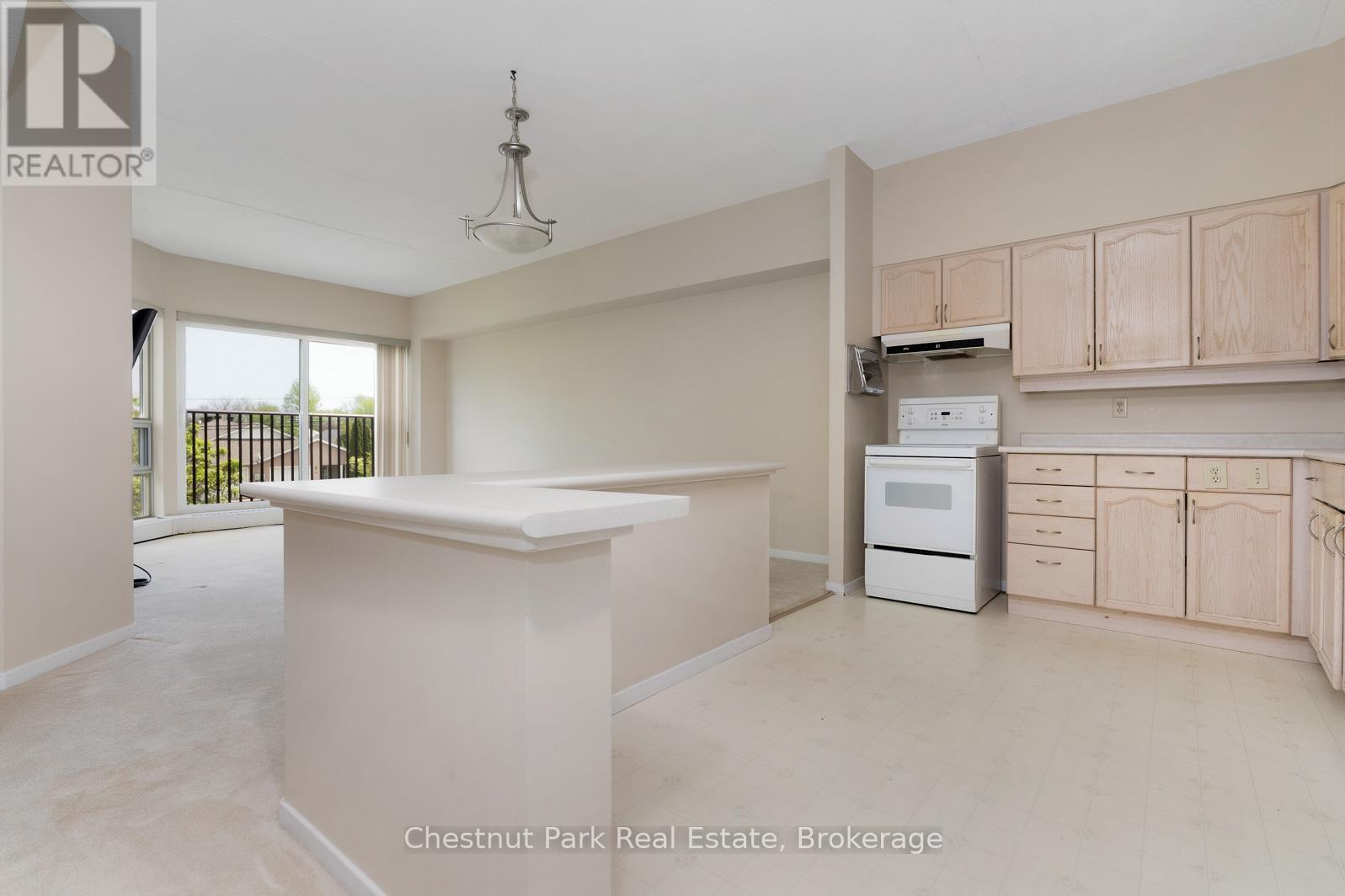 204 - 49 Raglan Street, Collingwood, Ontario  L9Y 4X1 - Photo 4 - S13177060