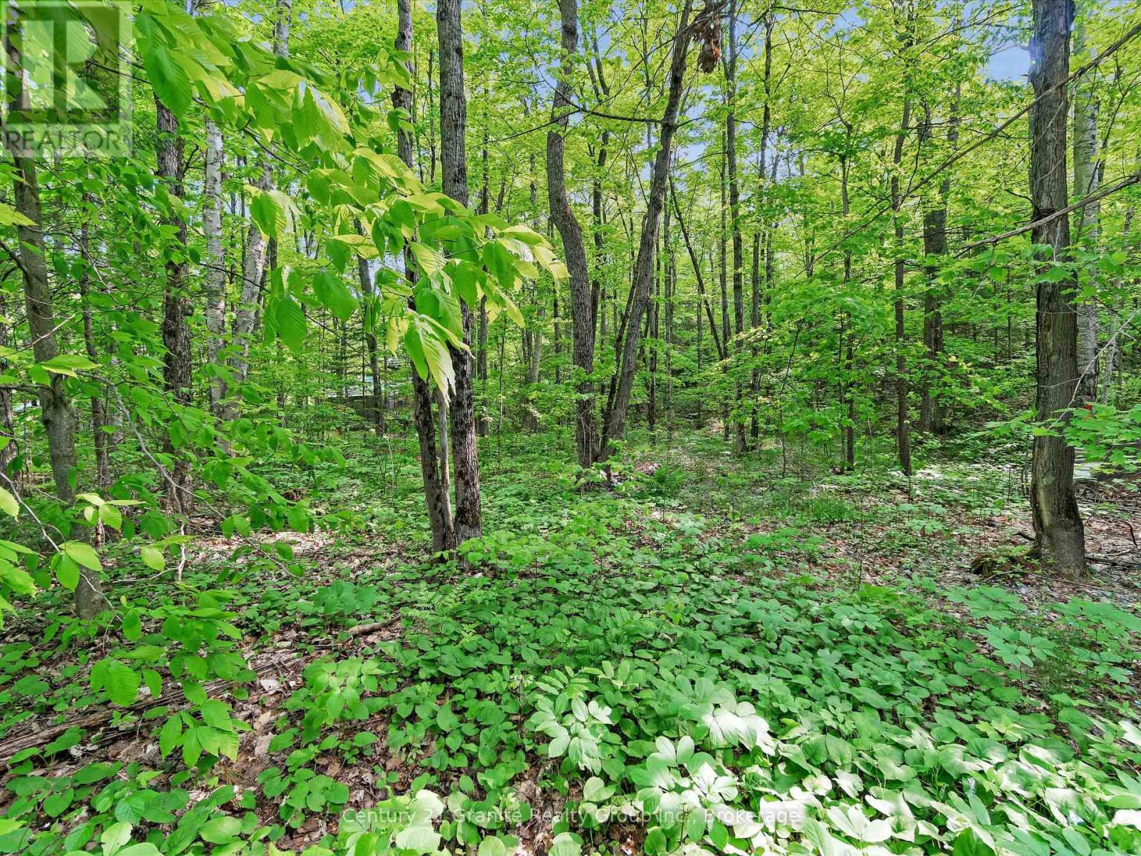 1141 Kanawa Lane, Algonquin Highlands (Stanhope), Ontario  K0M 1S0 - Photo 18 - X13176846