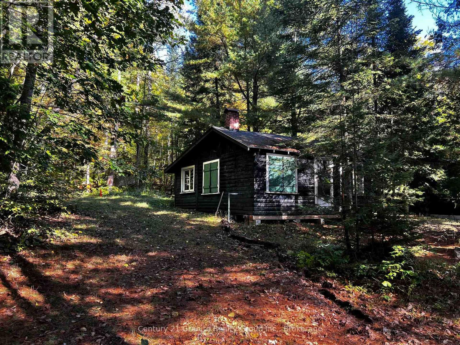 1141 Kanawa Lane, Algonquin Highlands (Stanhope), Ontario  K0M 1S0 - Photo 39 - X13176846