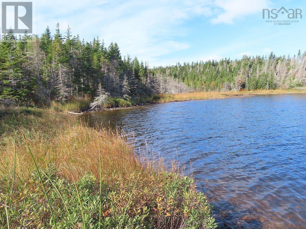 Lot 31 Belfry Lake Road, Gabarus Lake, Nova Scotia  B1K 2E8 - Photo 5 - 202529486