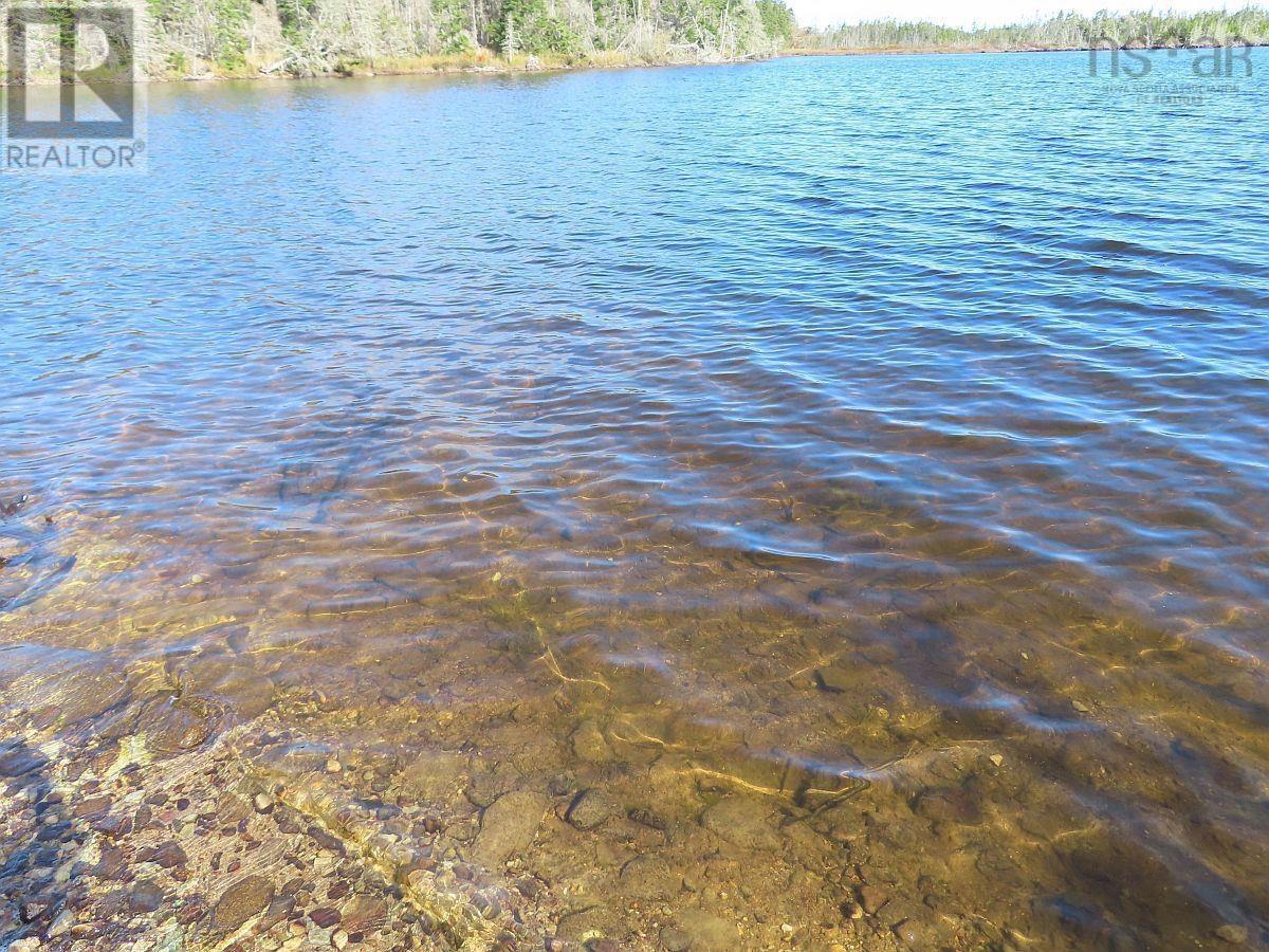 Lot 31 Belfry Lake Road, Gabarus Lake, Nova Scotia  B1K 2E8 - Photo 4 - 202529486
