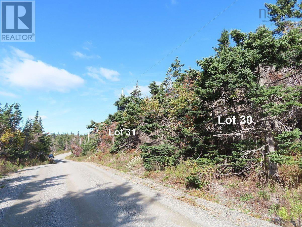 Lot 31 Belfry Lake Road, Gabarus Lake, Nova Scotia  B1K 2E8 - Photo 8 - 202529486