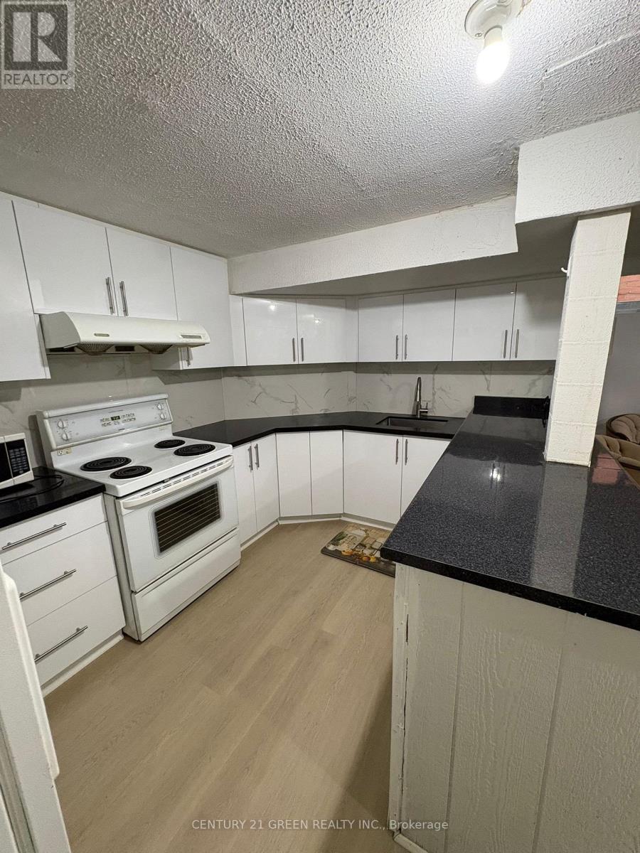 Bsmt - 4426 Mayflower Drive, Mississauga, Ontario  L5R 1S8 - Photo 3 - W13177018