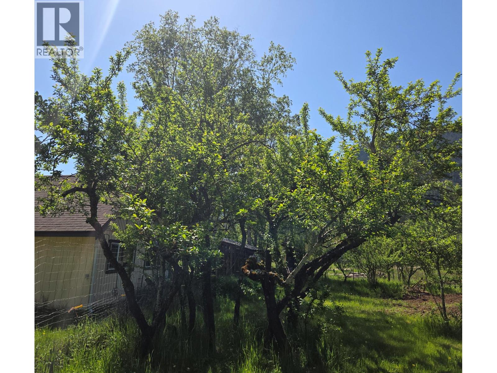 3918 Passmore Upper Road, Passmore, British Columbia  V0G 2J0 - Photo 89 - 10388802