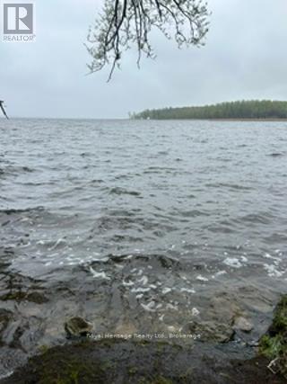 17 Fall's Bay Road, Kawartha Lakes, Ontario  K0M 1A0 - Photo 19 - X13177158