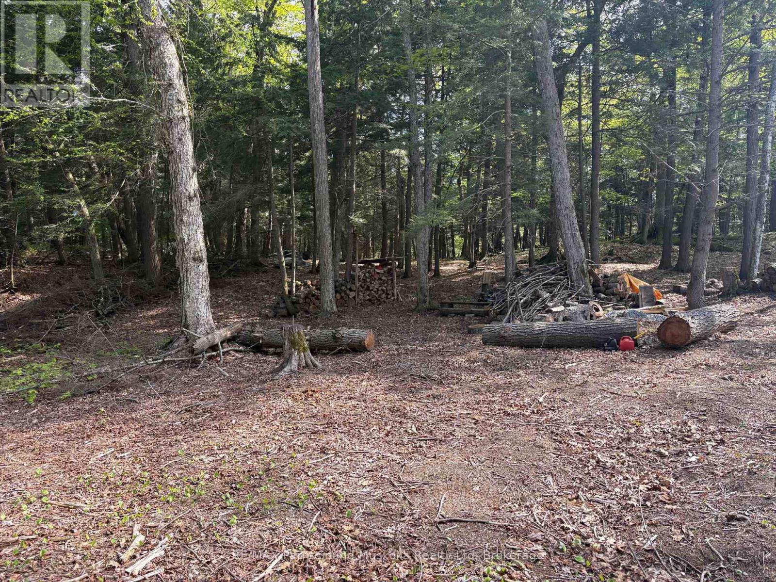 9 Sunnyshore Park Drive, Mckellar, Ontario P2A 0B5 - Photo 10 - X13177138