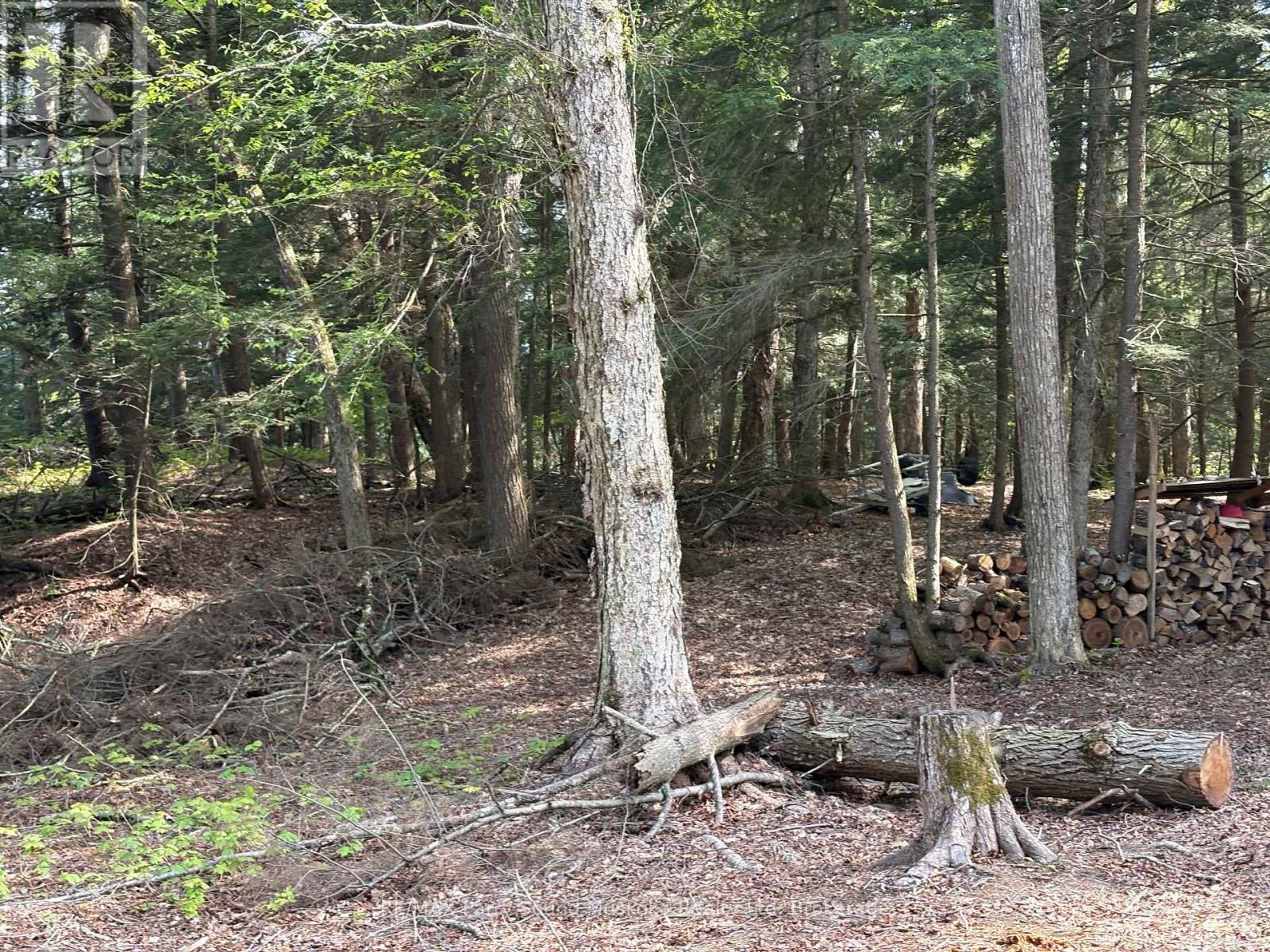 9 Sunnyshore Park Drive, Mckellar, Ontario P2A 0B5 - Photo 11 - X13177138