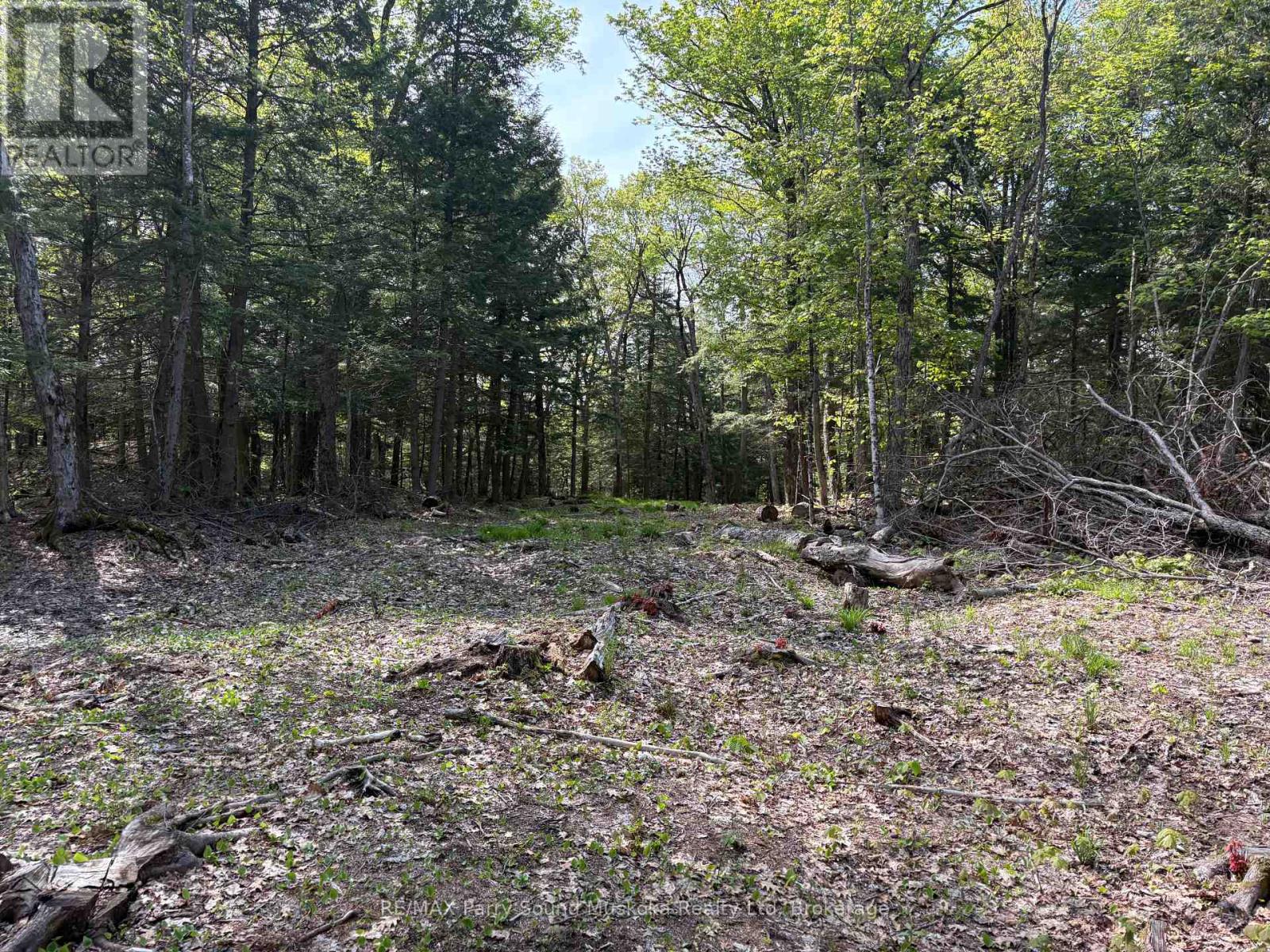 9 Sunnyshore Park Drive, Mckellar, Ontario P2A 0B5 - Photo 12 - X13177138