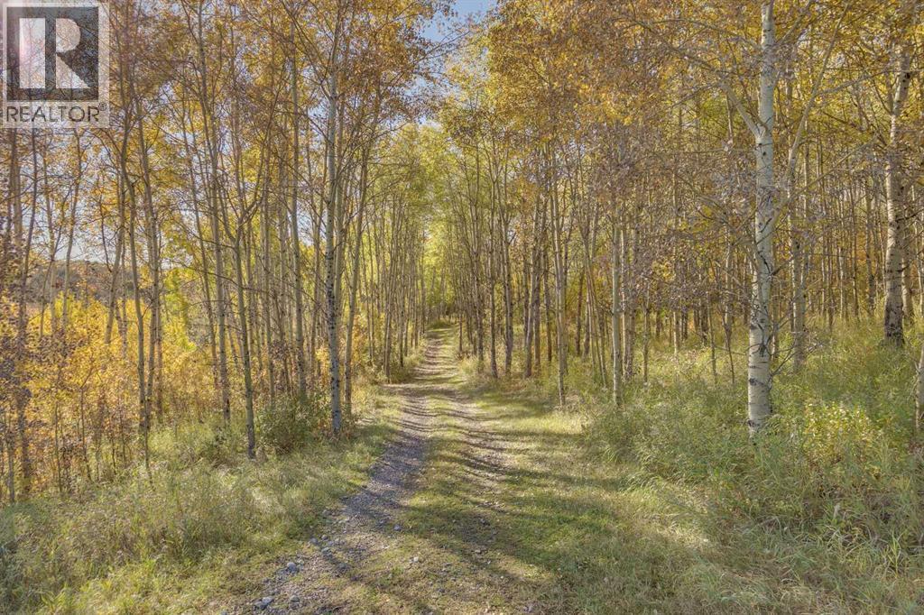 242042 36 Street E, Rural Foothills County, Alberta  T1S 3P9 - Photo 6 - A2271809