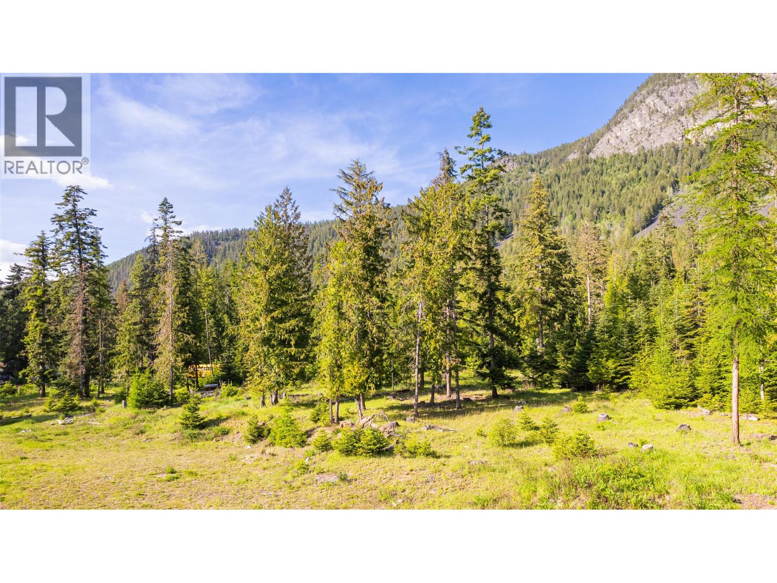 4852 48th Street, Canyon, British Columbia V0B 1C1 - Photo 3 - 10388203