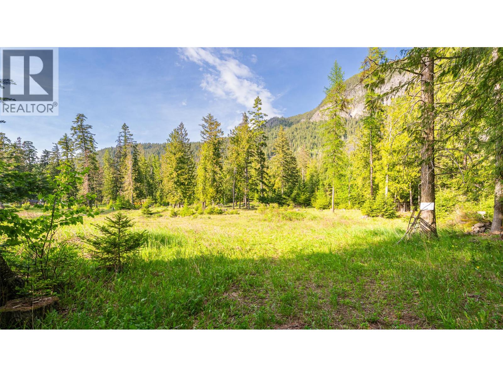 4852 48th Street, Canyon, British Columbia V0B 1C1 - Photo 22 - 10388203
