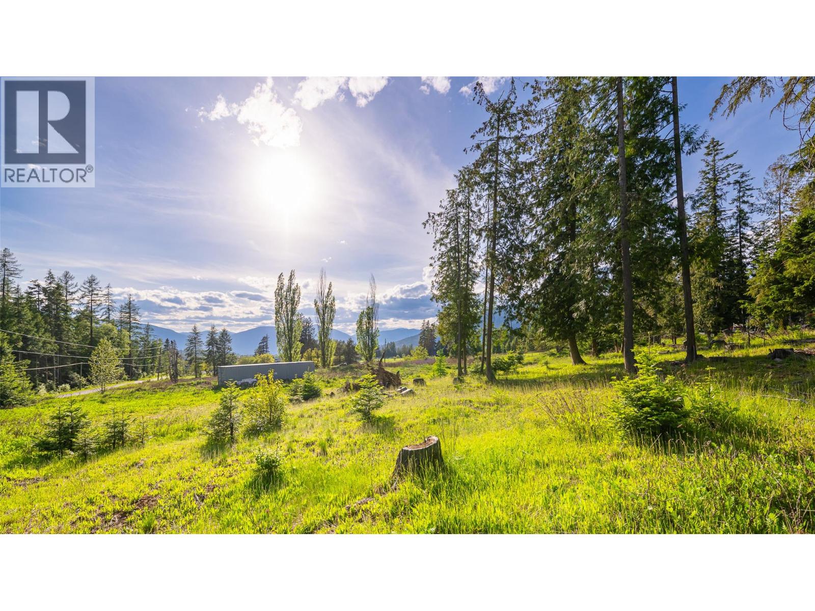 4852 48th Street, Canyon, British Columbia V0B 1C1 - Photo 9 - 10388203
