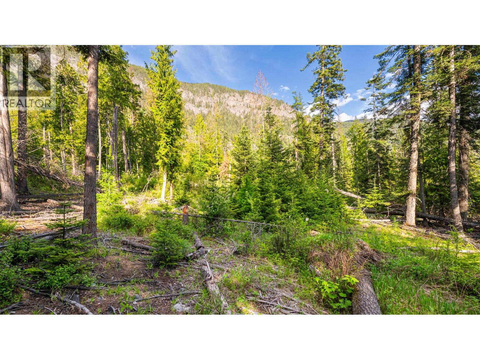 4852 48th Street, Canyon, British Columbia V0B 1C1 - Photo 11 - 10388203