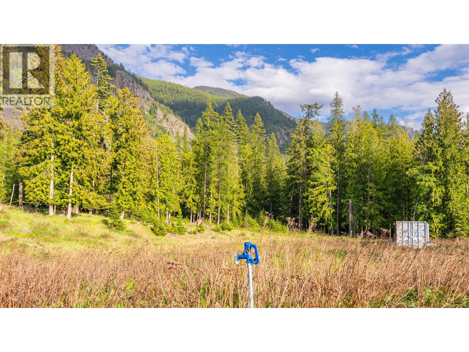 4852 48th Street, Canyon, British Columbia V0B 1C1 - Photo 15 - 10388203