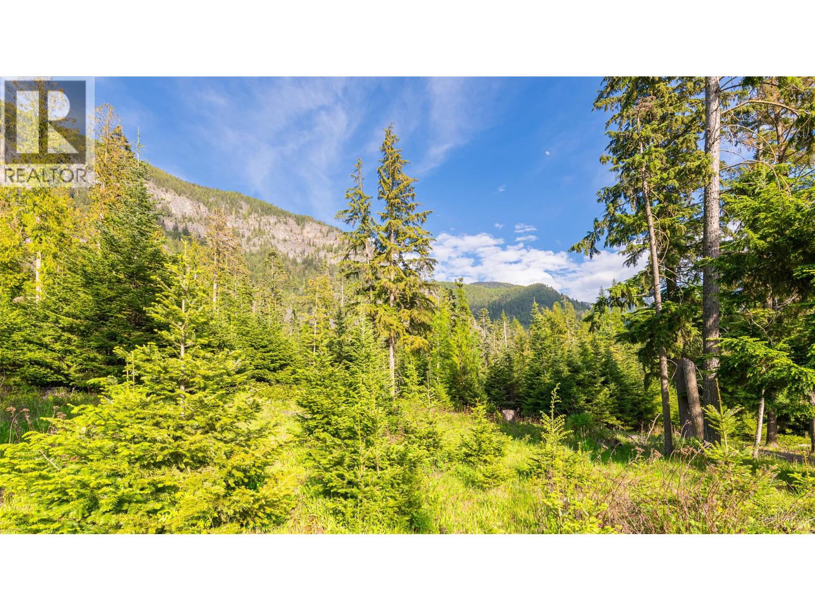 4852 48th Street, Canyon, British Columbia V0B 1C1 - Photo 12 - 10388203