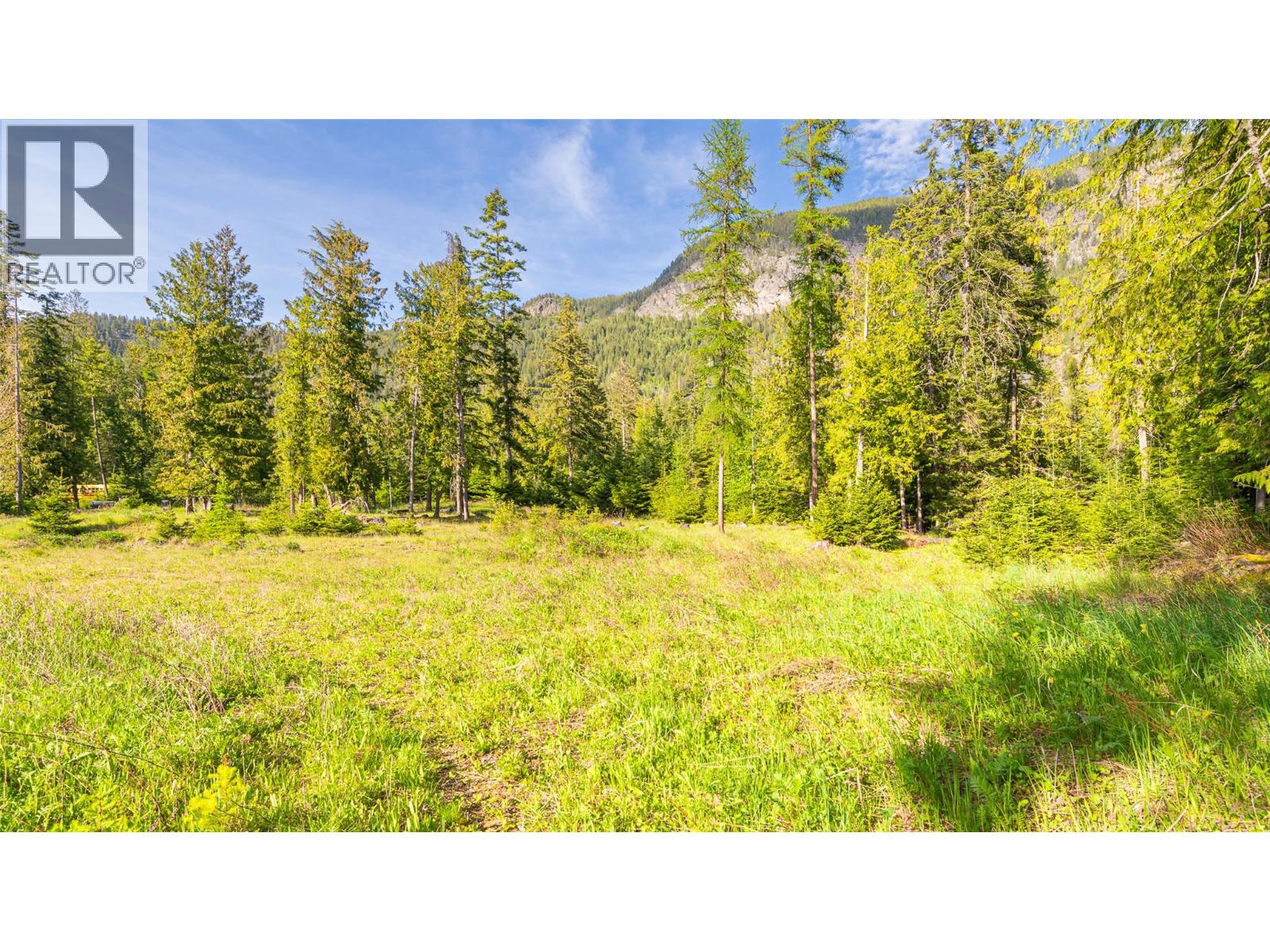 4852 48th Street, Canyon, British Columbia V0B 1C1 - Photo 7 - 10388203