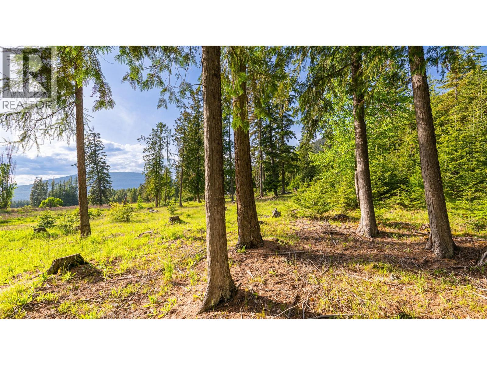 4852 48th Street, Canyon, British Columbia V0B 1C1 - Photo 8 - 10388203