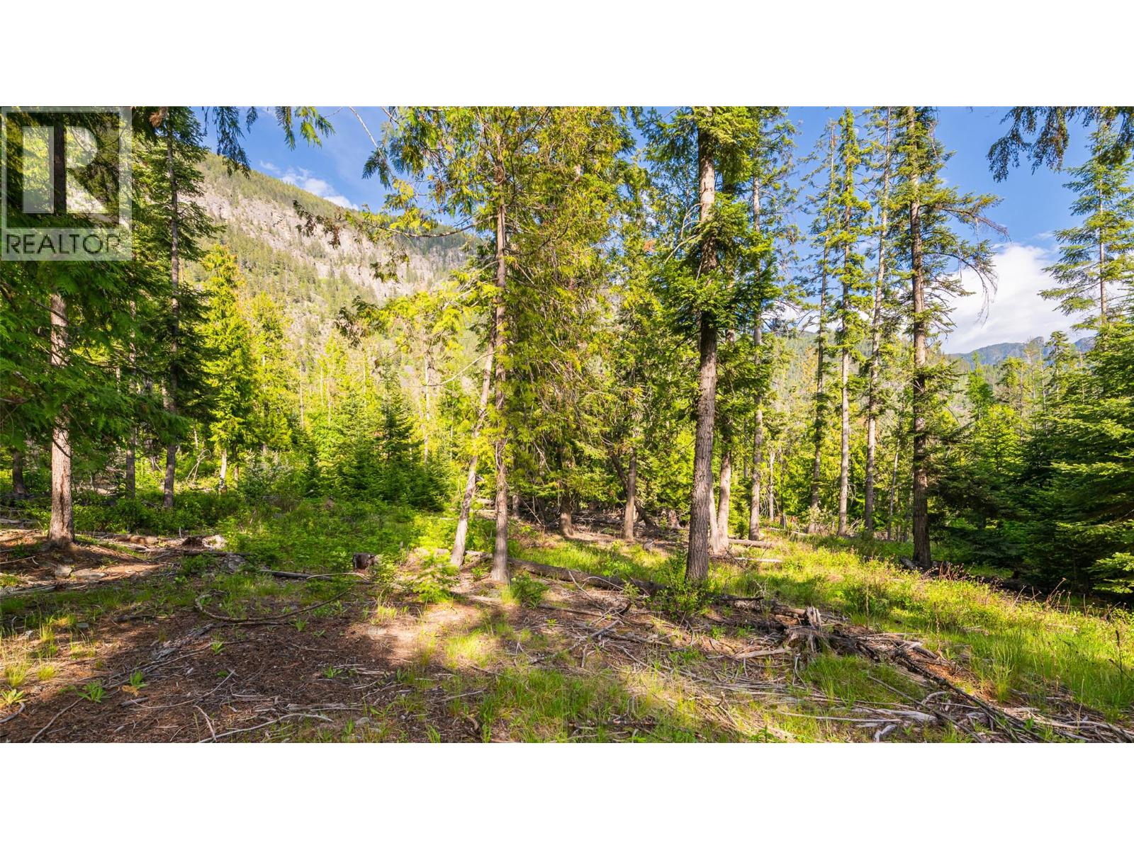 4852 48th Street, Canyon, British Columbia V0B 1C1 - Photo 10 - 10388203