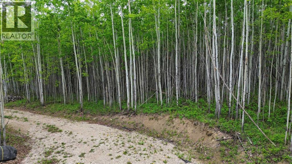 On Range Road 64 Pt Nw-28-74-6-W6 Range, Sexsmith, Alberta  T0H 3C0 - Photo 11 - A2315021