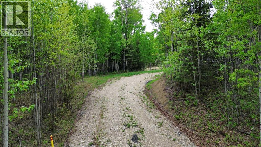 On Range Road 64 Pt Nw-28-74-6-W6 Range, Sexsmith, Alberta  T0H 3C0 - Photo 15 - A2315021