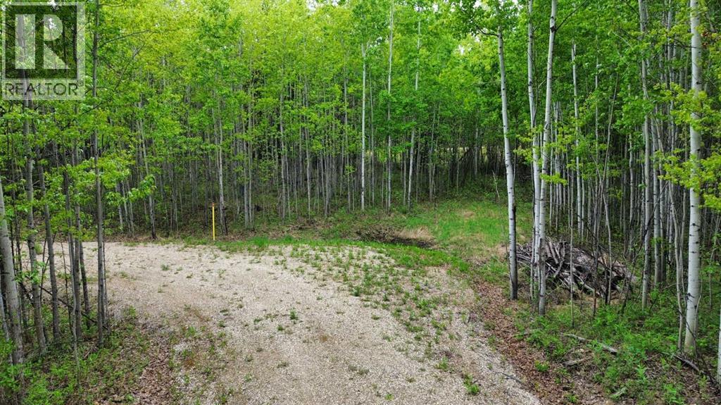 On Range Road 64 Pt Nw-28-74-6-W6 Range, Sexsmith, Alberta  T0H 3C0 - Photo 2 - A2315021