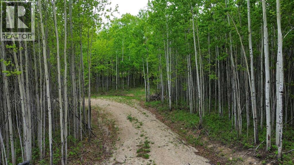 On Range Road 64 Pt Nw-28-74-6-W6 Range, Sexsmith, Alberta  T0H 3C0 - Photo 5 - A2315021