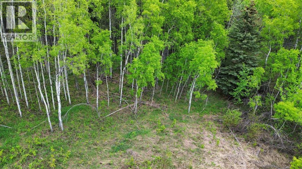On Range Road 64 Pt Nw-28-74-6-W6 Range, Sexsmith, Alberta  T0H 3C0 - Photo 7 - A2315021
