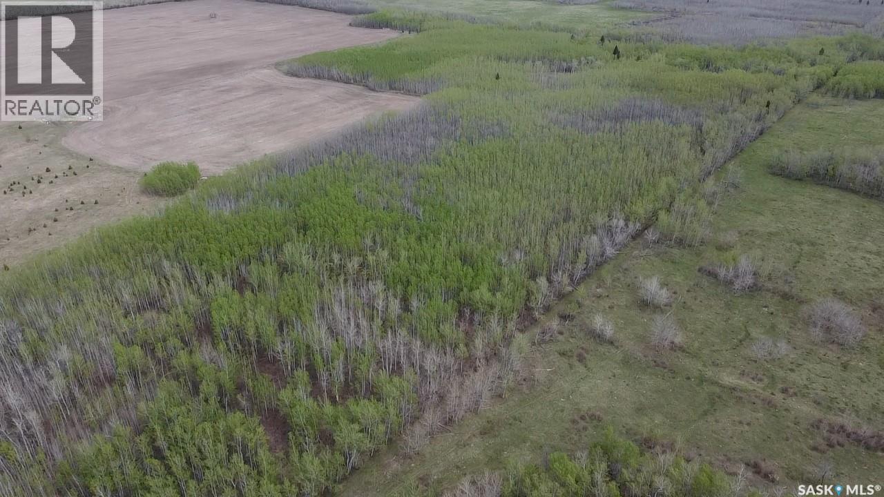 Rec Land, Barrier Valley Rm No. 397, Saskatchewan  S0E 0B0 - Photo 5 - SK037047