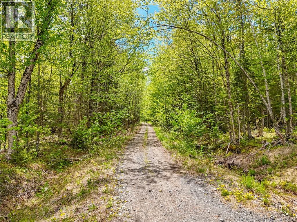 564 Royal Road, Royal Road, New Brunswick  E3A 6J9 - Photo 12 - NB132620