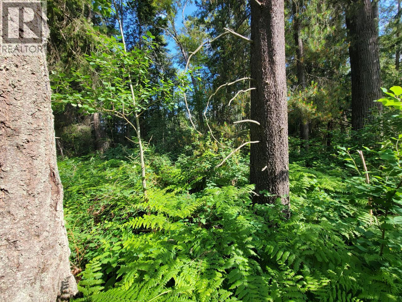 Lot 1 Passmore Old Road, Passmore, British Columbia  V0G 2J0 - Photo 13 - 10388533