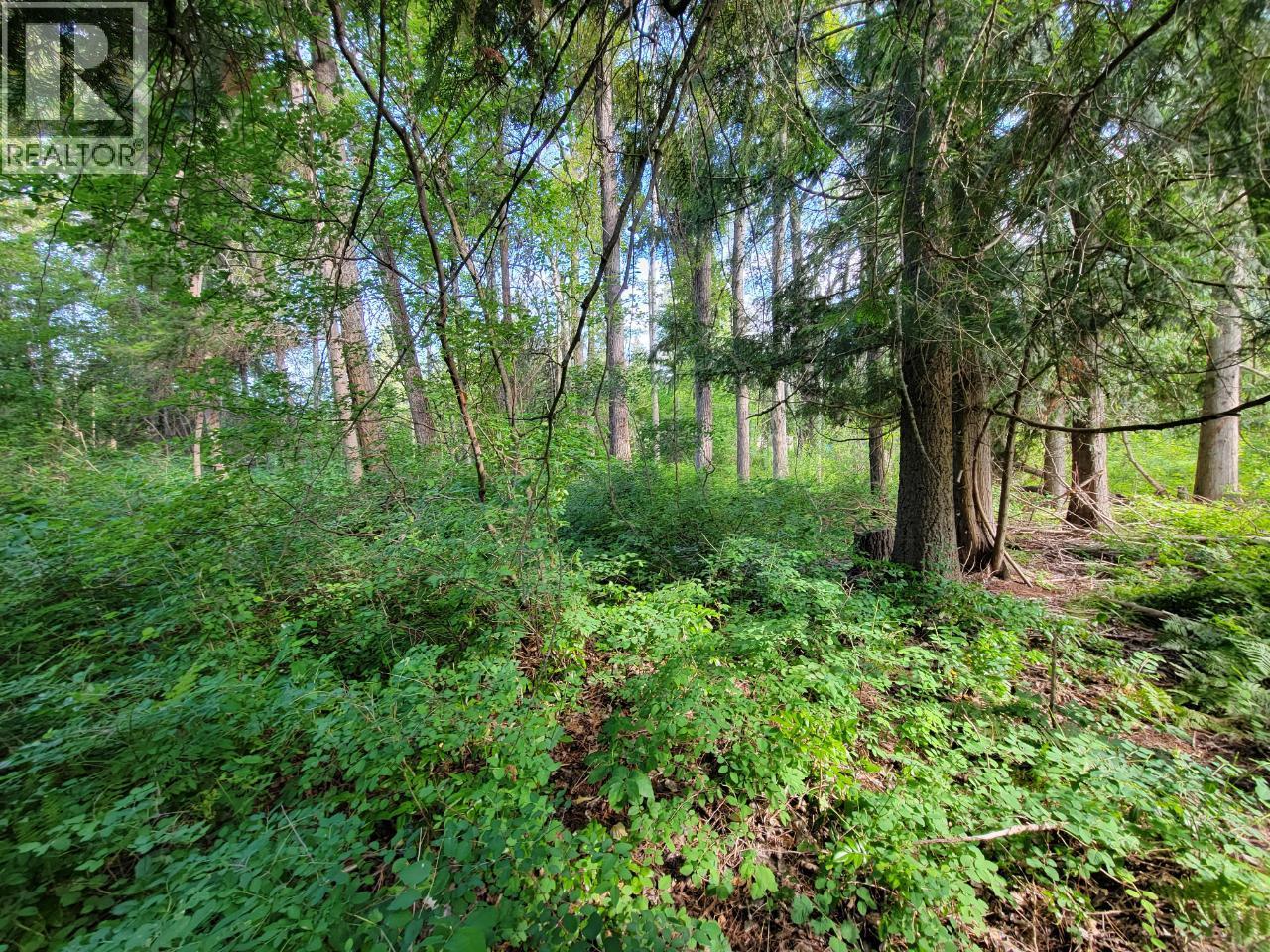 Lot 1 Passmore Old Road, Passmore, British Columbia  V0G 2J0 - Photo 15 - 10388533