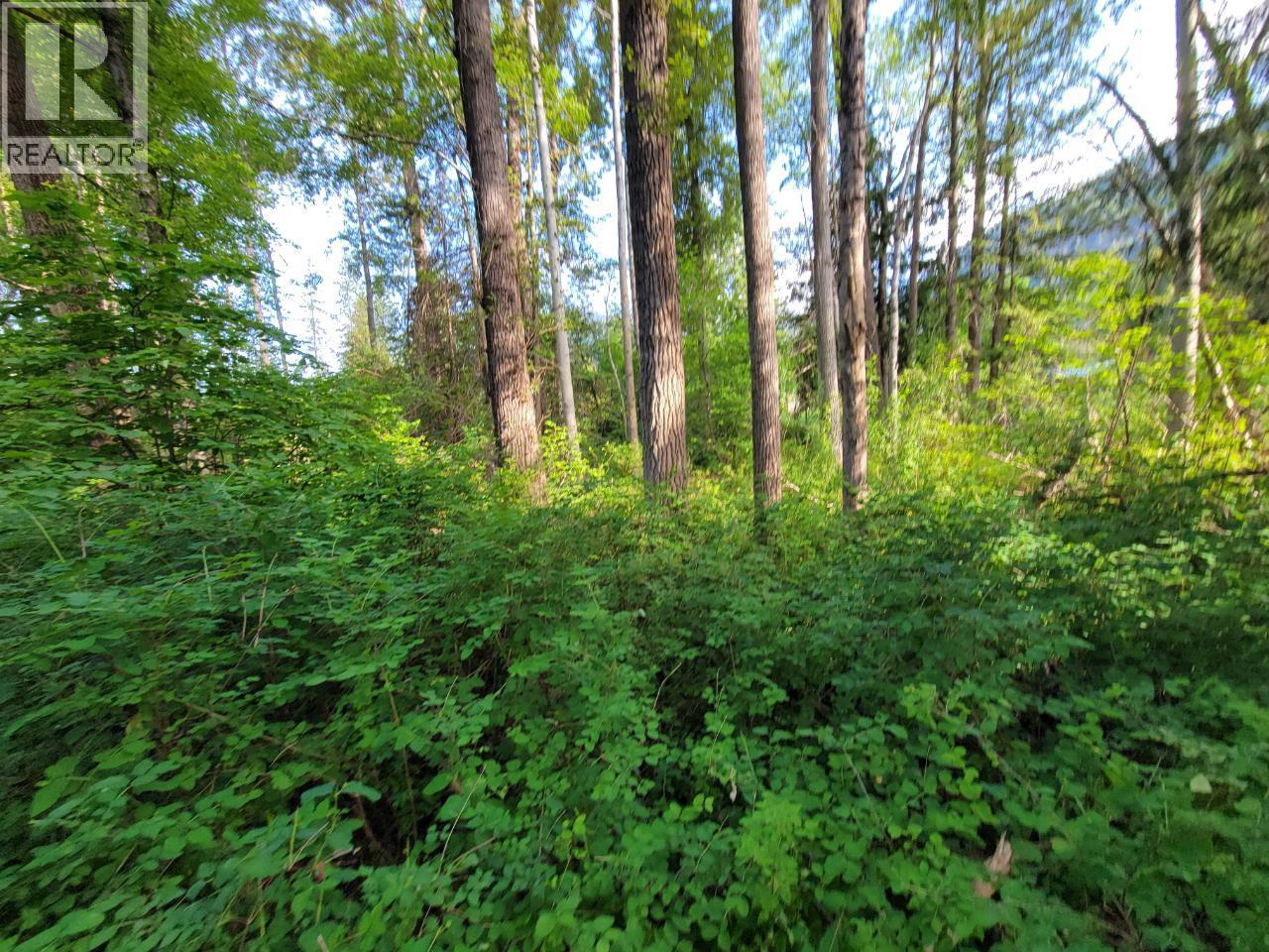 Lot 1 Passmore Old Road, Passmore, British Columbia  V0G 2J0 - Photo 16 - 10388533