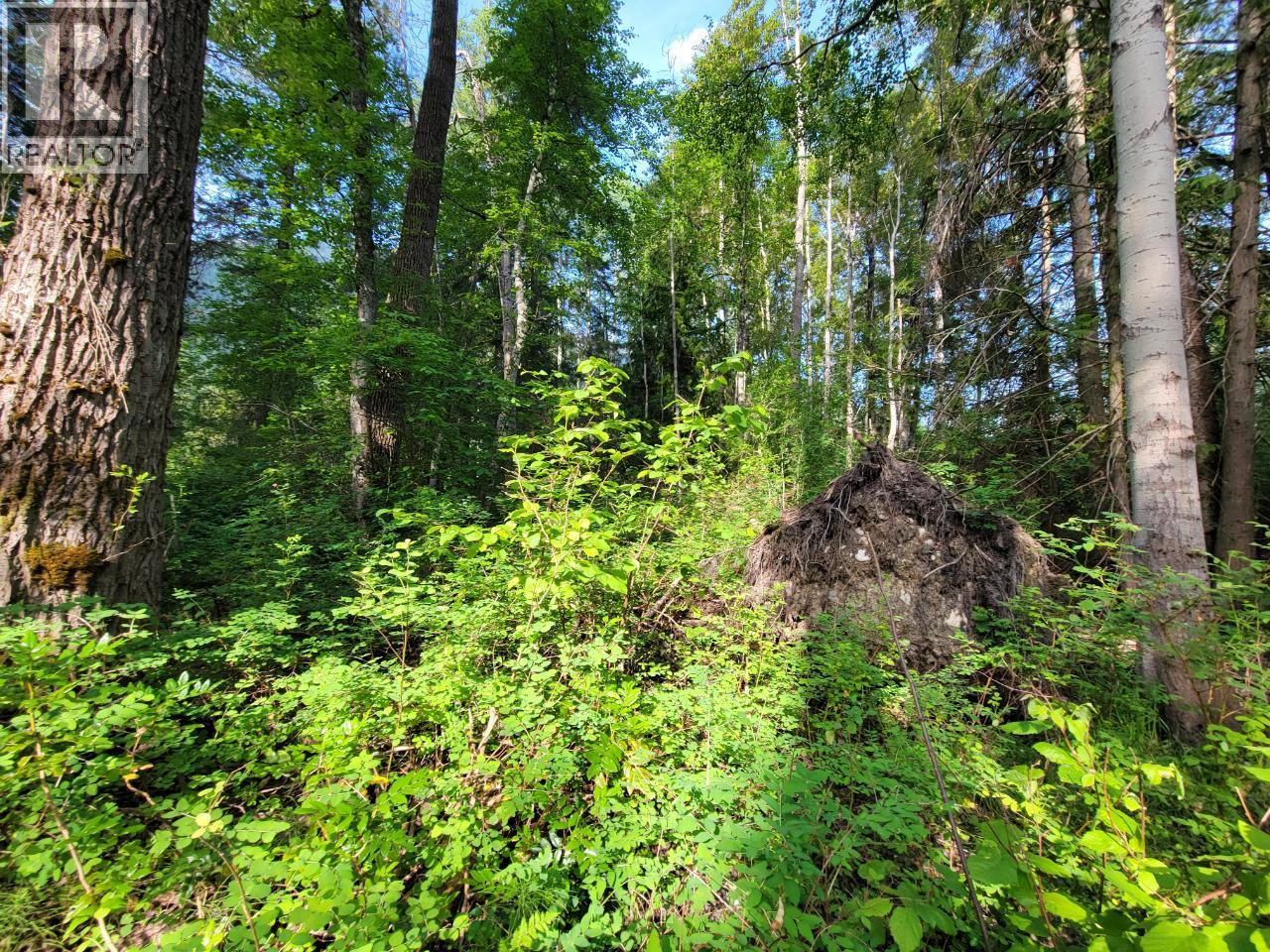Lot 1 Passmore Old Road, Passmore, British Columbia  V0G 2J0 - Photo 17 - 10388533
