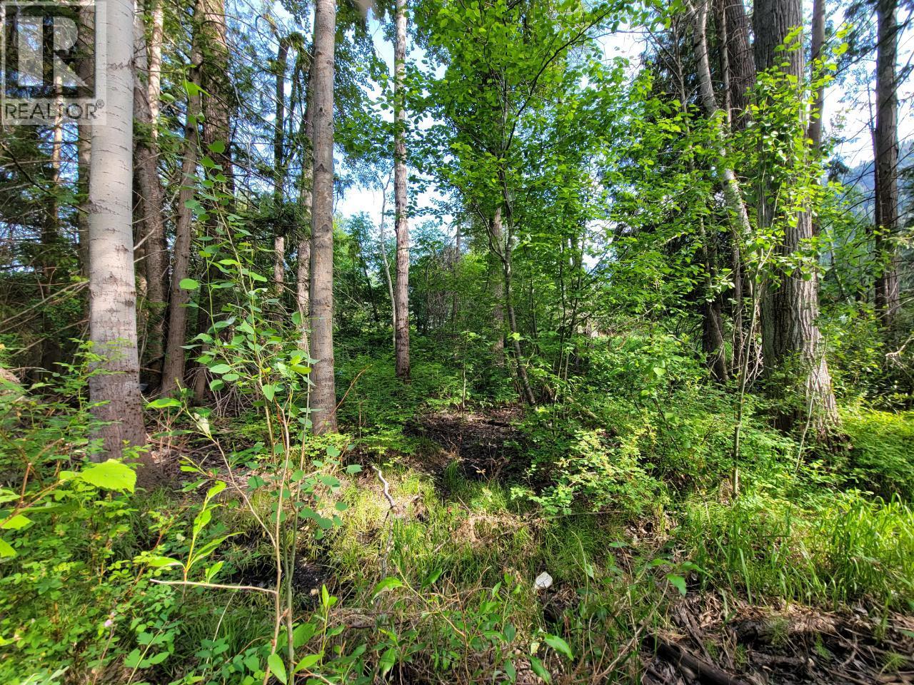 Lot 1 Passmore Old Road, Passmore, British Columbia  V0G 2J0 - Photo 18 - 10388533