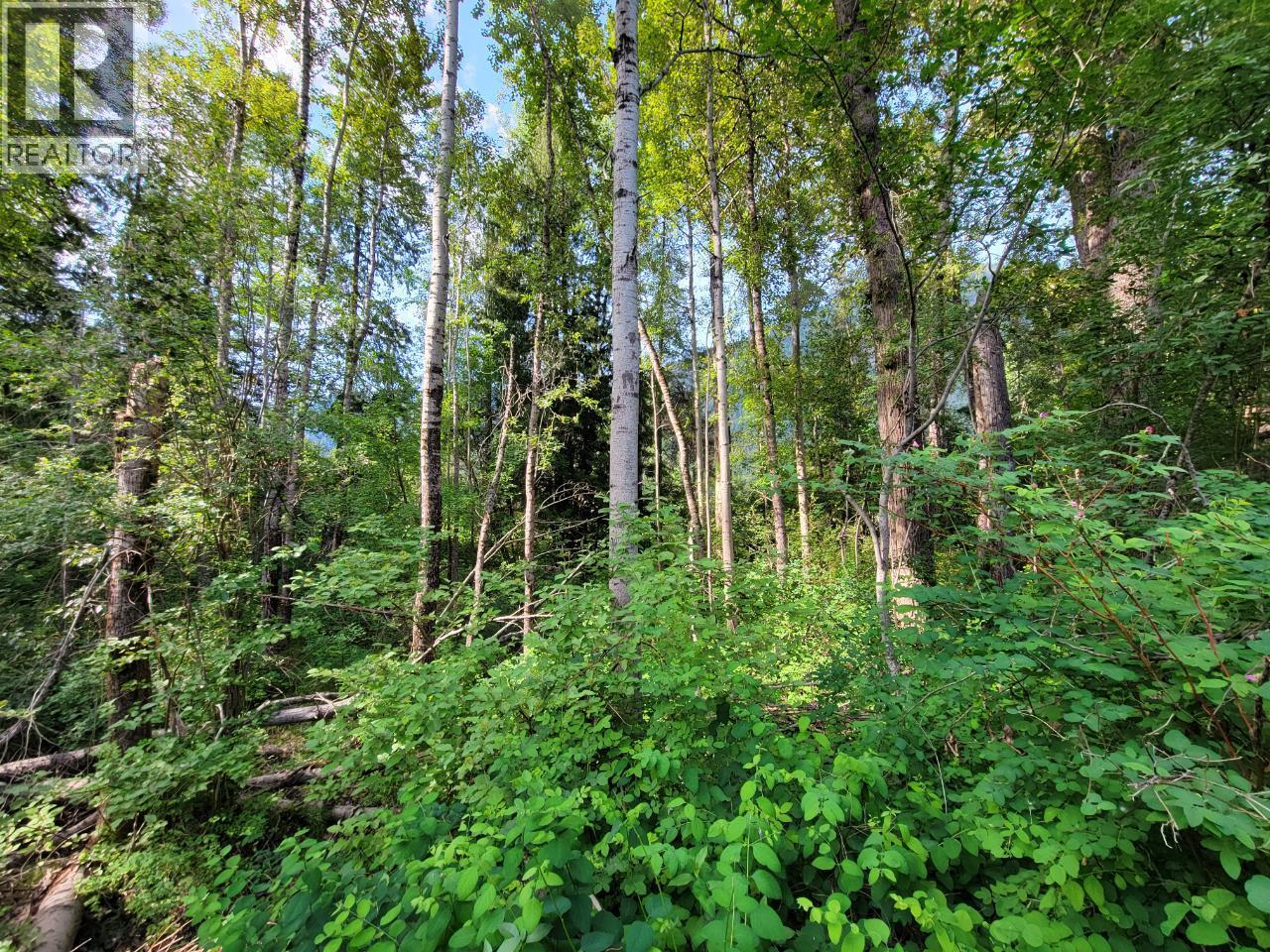 Lot 1 Passmore Old Road, Passmore, British Columbia  V0G 2J0 - Photo 23 - 10388533
