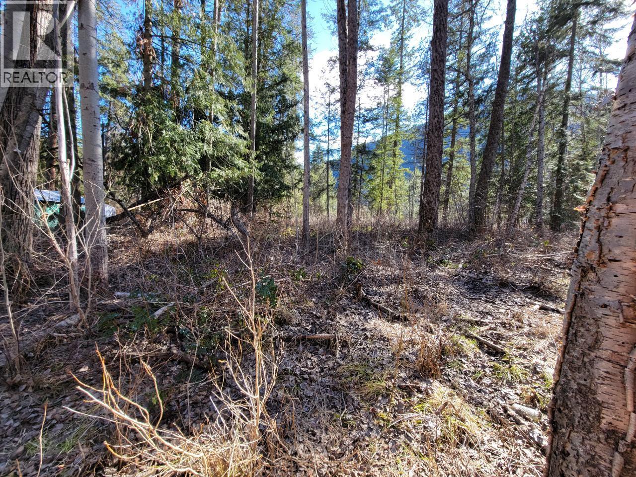 Lot 1 Passmore Old Road, Passmore, British Columbia  V0G 2J0 - Photo 9 - 10388533