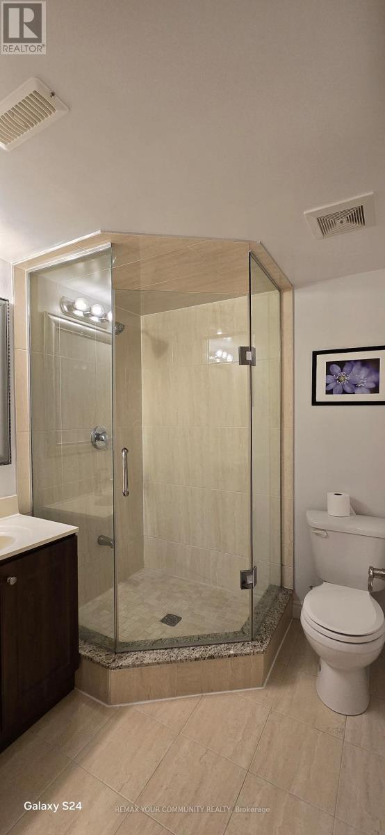 Basement - 20 Seiffer Crescent, Richmond Hill, Ontario  L4E 0J1 - Photo 16 - N13177746