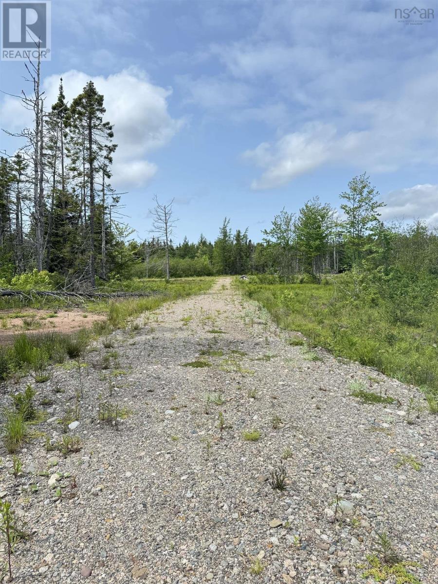 Barren Road, River Denys, Nova Scotia  B0E 2Y0 - Photo 1 - 202526611