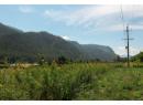 1411 Chalmers Road, Castlegar, BC V1N 4M7