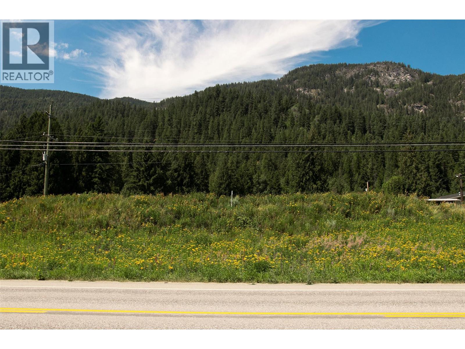 1411 Chalmers Road, Castlegar, British Columbia  V1N 4M7 - Photo 29 - 10349244