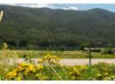 1411 Chalmers Road, Castlegar, BC V1N 4M7