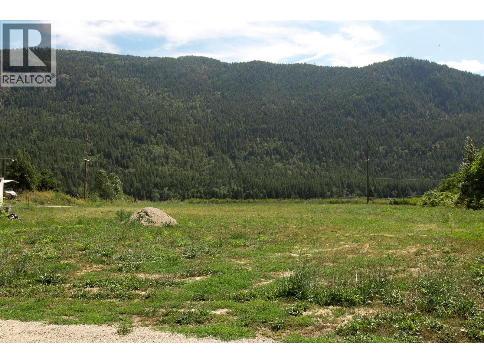 1411 Chalmers Road, Castlegar, British Columbia  V1N 4M7 - Photo 18 - 10349244